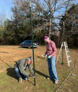 volunteers installing deer fence post