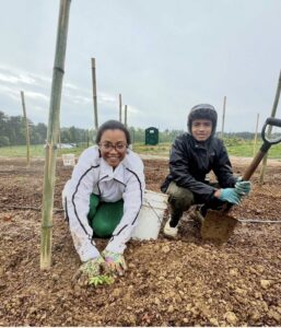 Two volunteers planting spring seedlings
